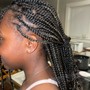 Kid's Braided Ponytail Hairstyle