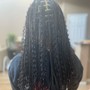 Lemonade Knotless Braids