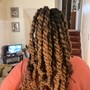 Havana /passion Twists (half head)