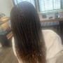 Long Small Box Braids (BUTT)