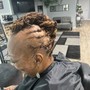 Root Touch Up