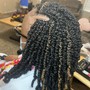 Crochet Braids/Twists