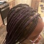 Micro Braids (Human hair)