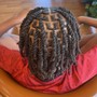 Comb Twist