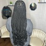 Extensions tape ins / clip ins