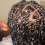 2 Braided or Loose Ponytails