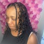 Large Senegalese  Twists