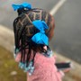 Kid's Braids (Hair Added)