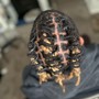 Loc Maintenance(Retwist )