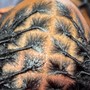 Trichology Scalp and Hair Consultation