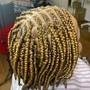 Box Braids Extensions (Jumbo size)