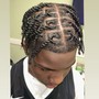 Comb Twist/  + two strand + style