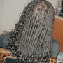 Butterfly Locs Waist Length