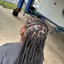 Large Faux Locs