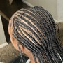 Fulani Braids