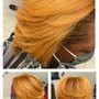 Root Touch Up