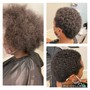 Root Touch Up