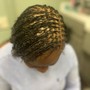 Large Senegalese Twist