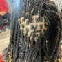 Loc retwist