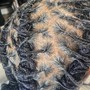 Loc retwist