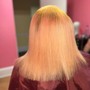 Olaplex Silk Press