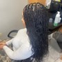 Root Touch Up