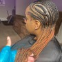 Glueless Wig Style/ Braid down