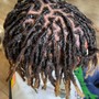 Starter Locs