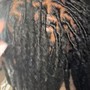 Two strand twist starter locs