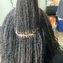 INSTANT LOCK METHOD STARTER LOCS FULL HEAD EAR LENGTH