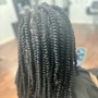 Take out Braids with extensions