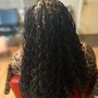 Large Box Braids (mid-back)