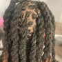 Starter Locs