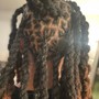 Starter Locs