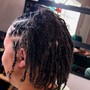 Starter Locs