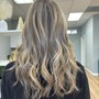 Full Balayage/highlights w/blowdry  ( short - medium hair)