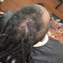 Starter Locs