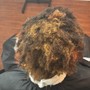 Two Strand Twist (Natural Hair, No loc)