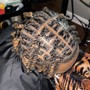 Starter Locs