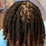 Loc Extensions (w/ hair included)