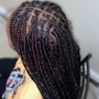 Senegalese Twist