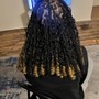 Starter locs