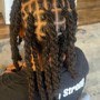 Starter locs