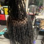 Loc Shampoo and Conditioning