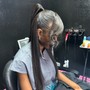 Barbie Ponytail