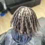 Starter Locs