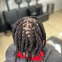 Starter Locs