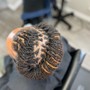 Root Touch Up