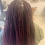 Two Strand Twists