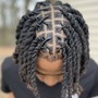 2 strand twist (not dreaded )